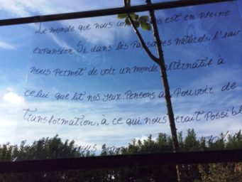 11111970_950000195052410_7561428009259846315_n