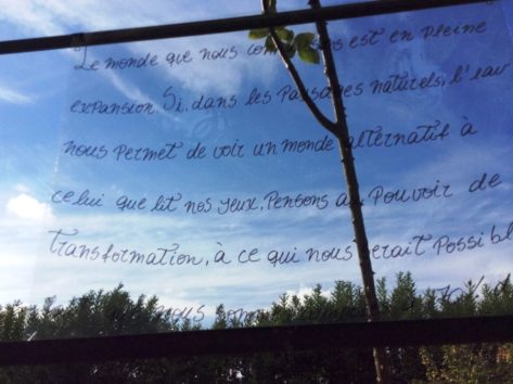 11111970_950000195052410_7561428009259846315_n