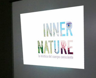 11148654_950001451718951_903953879232110733_n