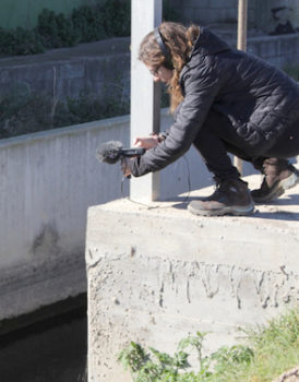 taller inner nature3